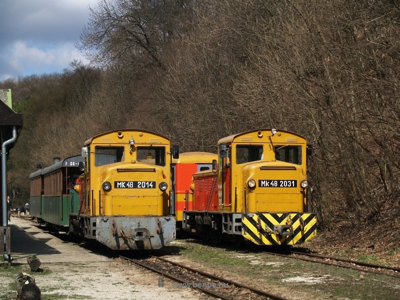 Mk48 2031 és Mk48 2014 Királyréten az  fotó