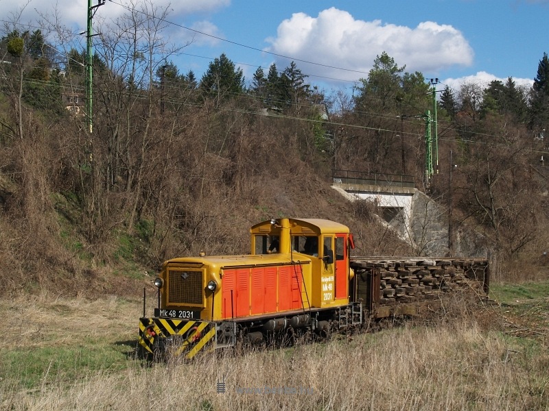 The Mk48 2031 with a freight train between Verőce and Kismaros photo