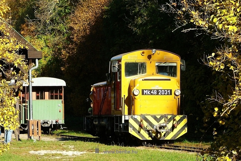 Mk48 2031 Királyréten fotó