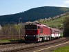 A ŽSSK 754 054-5 Fűrész megállóhelyen