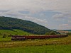 An unidentified ŽSSKC 751 seen hauling a freight train between Blhovce and Hodejov on the number 160 Zvolen - Košice railway