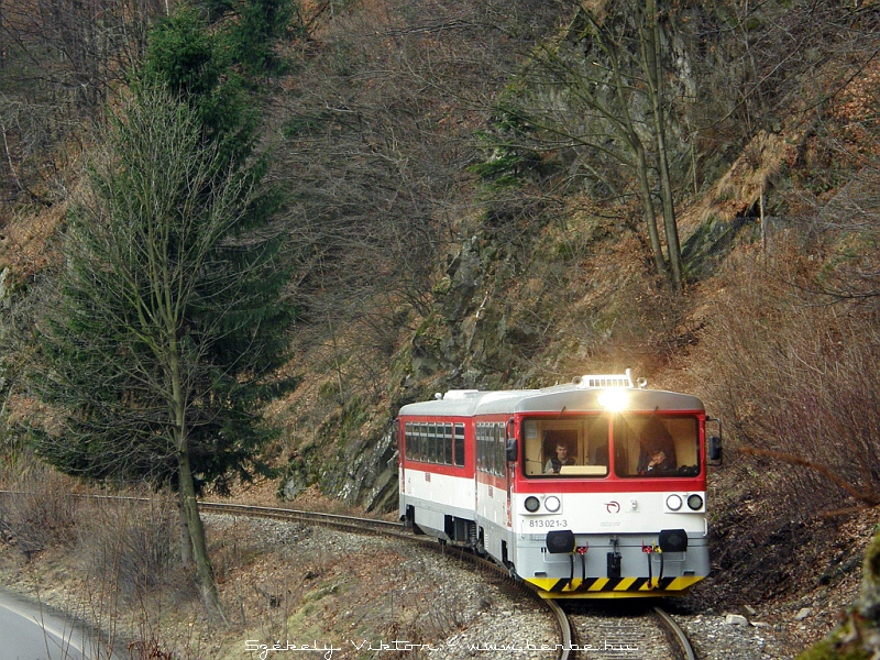 The 813 021-3 in the narrow valley of the Orava river photo