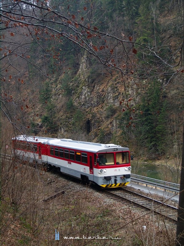 The 913 014-7 in the narrow valley of the Orava river photo