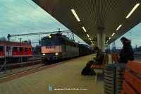 kép