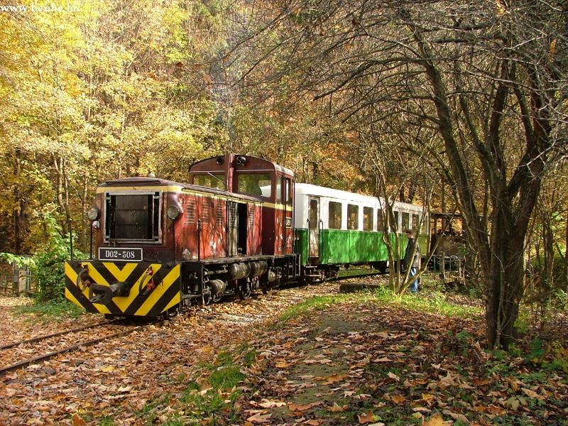 D02 508 waiting for a train in the delta track of Lillafred photo