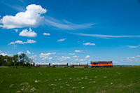 A MÁV-START 628 333 Székesfehérvár és Börgönd között