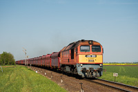 The MÁV-START 628 260 seen between Székesfehérvár and Börgönd