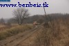 The Bzmot 241 between Tolmcs and Rtsg