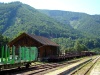 Log cars waiting to be loaded at Freiland