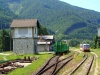 Log cars waiting to be loaded at Freiland