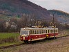 The TREŽ 411 902-0 seen between Trančiansk Tepl obec and Kanov