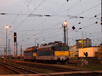 kép