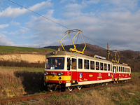 The TREŽ Felvidk 903-8 seen between Trencianske Teplice sdlisko and Kanov