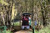 The Kemencei Erdei Mzeumvast P5 <q>Pankaszi</q> narrow-gauge diesel locomotive seen between Strand - Godvr and Pityur-rtje