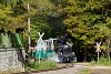 The Műszaki és Közlekedési Múzeum - Kemencei Erdei Múzeumvasút v.356-301 <q>Triglav</q> 60-cm narrow-gauge steam locomotive seen between Feketevölgy mh. and Feketevölgy