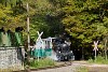 The Műszaki s Kzlekedsi Mzeum - Kemencei Erdei Mzeumvast v.356-301 <q>Triglav</q> 60-cm narrow-gauge steam locomotive seen between Feketevlgy mh. and Feketevlgy