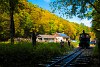 The Műszaki s Kzlekedsi Mzeum - Kemencei Erdei Mzeumvast v.356-301 <q>Triglav</q> seen at Feketevlgy station