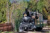 A Műszaki és Közlekedési Múzeum - Kemencei Erdei Múzeumvasút v.356-301 <q>Triglav</q> Csarnapuszta és Kőrózsa között