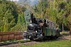 A Műszaki és Közlekedési Múzeum - Kemencei Erdei Múzeumvasút v.356-301 <q>Triglav</q> Csarnapuszta és Kőrózsa között