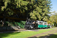 The Műszaki és Közlekedési Múzeum - Kemencei Erdei Múzeumvasút v.356-301 <q>Triglav</q> 60-cm narrow-gauge steam locomotive seen between Feketevölgy mh. and Feketevölgy