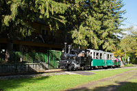 A Műszaki és Közlekedési Múzeum - Kemencei Erdei Múzeumvasút v.356-301 <q>Triglav</q> 600 mm nyomtávolságú keskennyomközű gőzmozdonya Feketevölgy mh. és Feketevölgy között