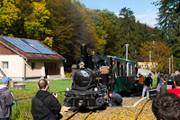 A Műszaki és Közlekedési Múzeum - Kemencei Erdei Múzeumvasút v.356-301 <q>Triglav</q> Feketevölgy állomáson