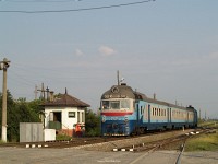 kép