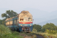 kép