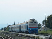 kép