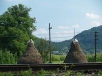 kép