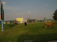 kép