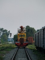 kép