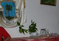 kép