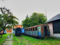 kép