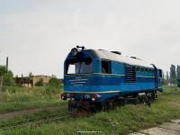 kép