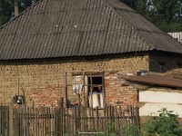 kép