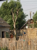 kép