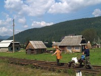 kép