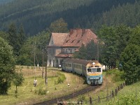 kép