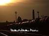 A freight train in the sunset at Kolomiya