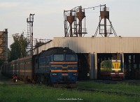 kép