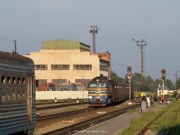 kép