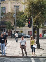 kép