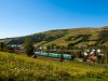 Freight train on the way to the pass