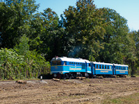 kép