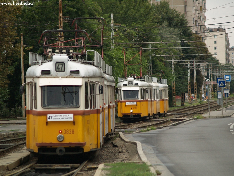 UV type trams wo’t be meeting on the streets for long photo