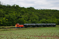 The Vl-vlgyi Kisvast Mk48 2016 seen between Pusks Akadmia and -Felcst