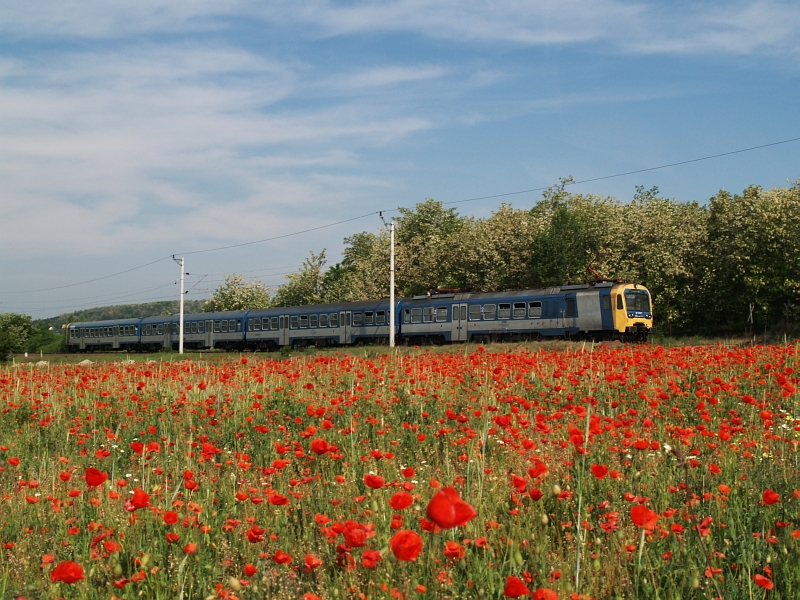 The BDVmot 018 among red poppies near Csomd photo