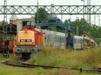 kép