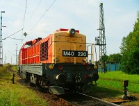 kép